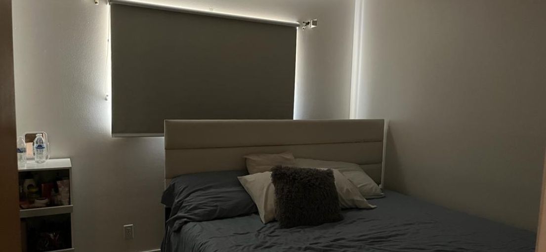 Vinyl blackout shades providing privacy in a Brentwood guest bedroom