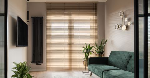 Contemporary South Pasadena living room featuring sleek Master Blinds' vinyl roller shades.